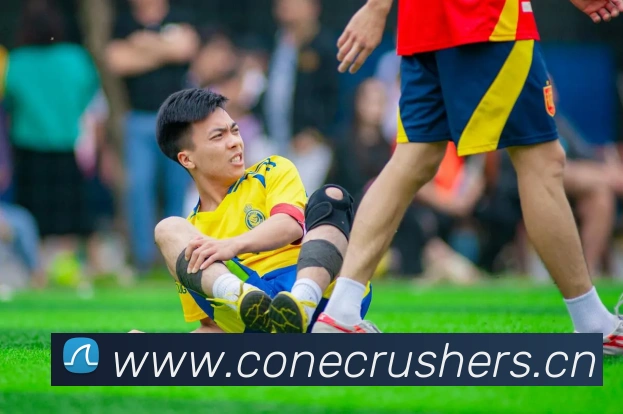 emc易倍官网登录平台生态图